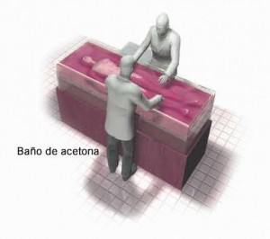 2. Extracción del agua y la grasa corporal